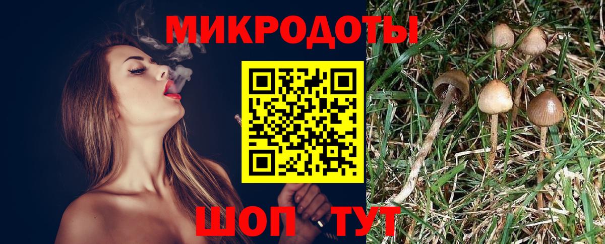 Псилоцибиновые грибы Cubensis  Галлюциногенные грибы Cubensis  Санкт-Петербург  Вход с VPN 